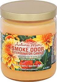 Smoke Odor 13oz. Candle - Autumn Mum