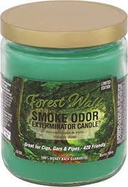 Smoke Odor 13oz. Candle - Forest Walk